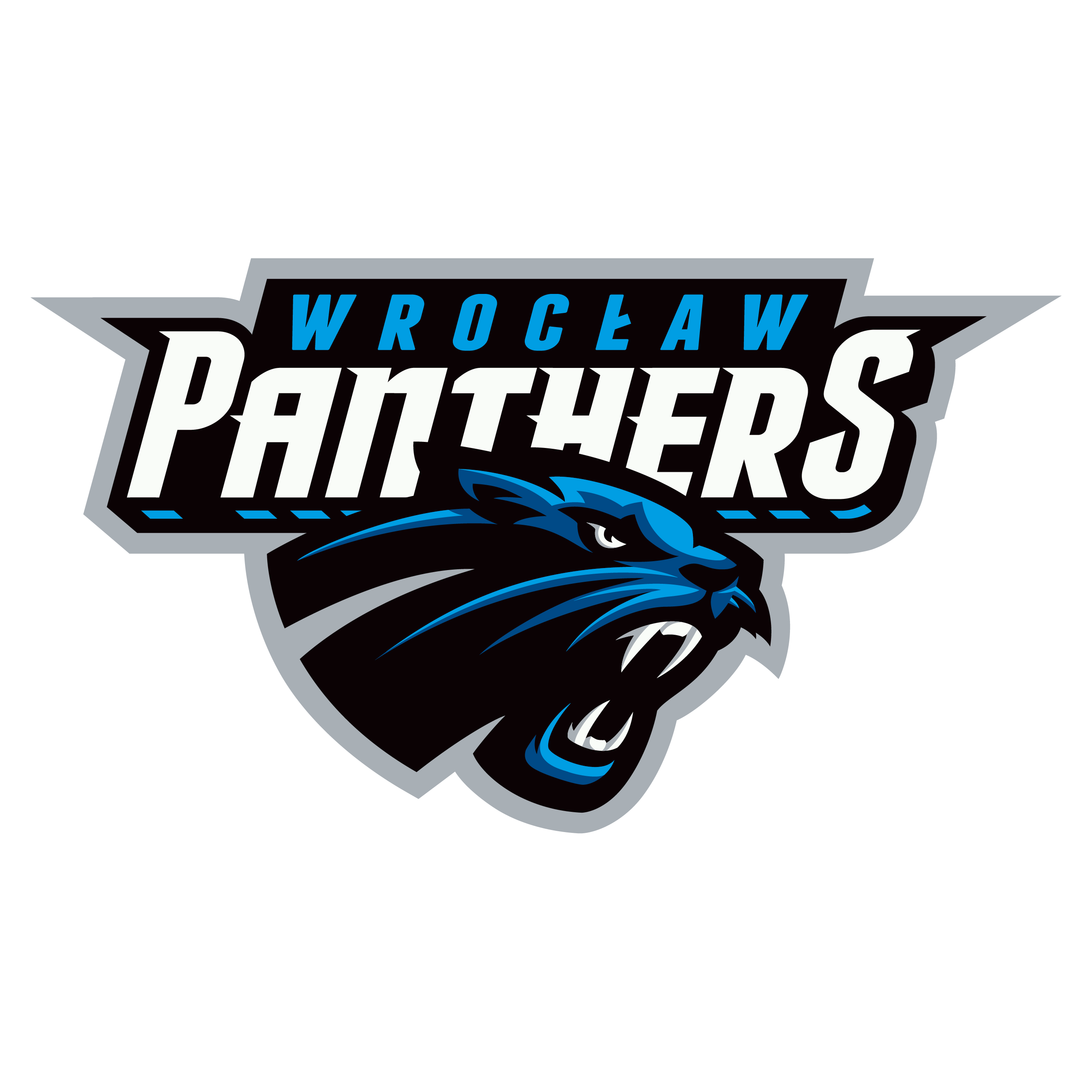 Panthers Wroclaw Logo
